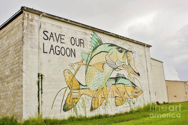 Save Our Lagoon Poster featuring the photograph Save Our Lagoon by Lynda Dawson-Youngclaus