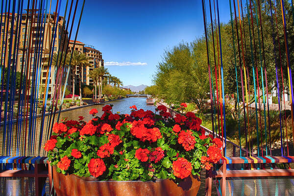 Fred Larson Poster featuring the photograph Scottsdale Waterfront by Fred Larson