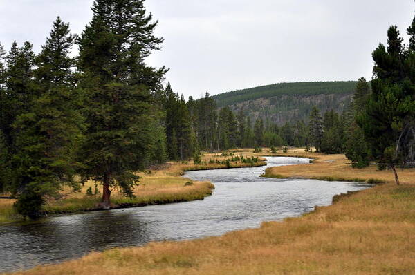 Yellowstone Poster featuring the photograph Serene Beauty by Lisa Holland-Gillem