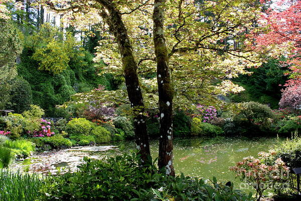 Peaceful Gardens Poster featuring the photograph Serene Garden Retreat by Carol Groenen