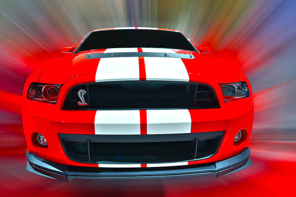 Shelby Poster featuring the photograph Shelby GT 500 2013 by Dragan Kudjerski