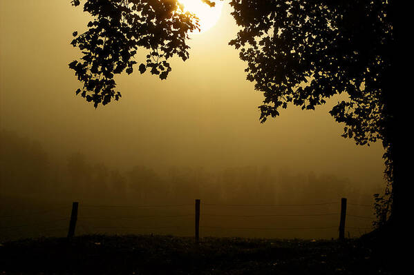 Cades Cove Poster featuring the photograph Shining Through The Fog by Michael Eingle