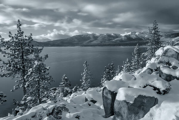 Landscape Poster featuring the photograph shivery BW by Jonathan Nguyen