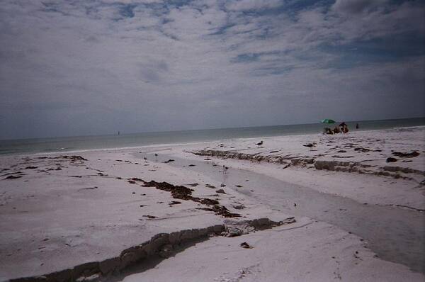 White Sand Poster featuring the photograph Siesta Key by Suzanne Berthier