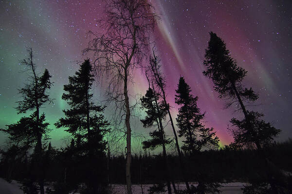 Aurora Borealis Poster featuring the photograph Silence of the Night by Valerie Pond
