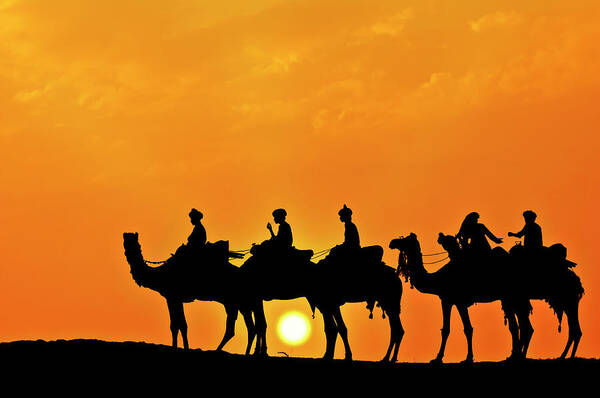 Scenics Poster featuring the photograph Silhouette Of Camel Caravan In The by Alpamayophoto