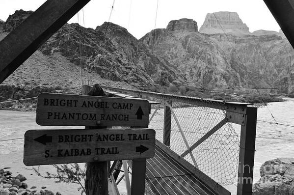 Grand Canyon Poster featuring the photograph Silver Bridge Signs over Colorado River at bottom of Grand Canyon National Park Black and White by Shawn O'Brien