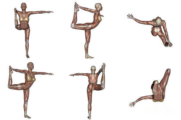Premium Vector | Collection of woman modern dance silhouettes in different  poses