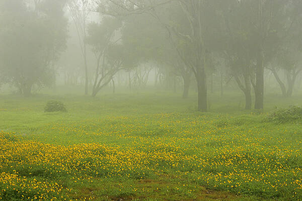 Landscape Poster featuring the photograph SKC 0835 Romance in the Meadows by Sunil Kapadia