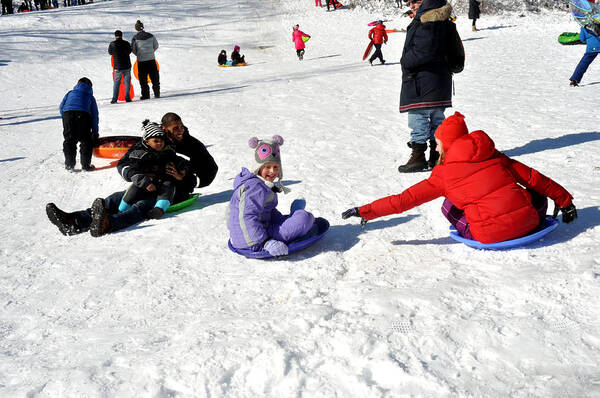 Kids Poster featuring the photograph Sledding on White Snow in Prospect Park Brooklyn by Diane Lent