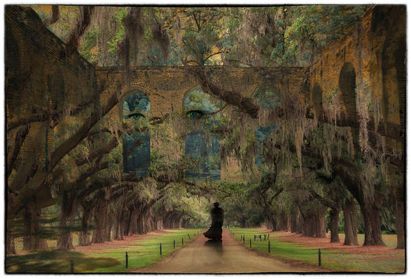 Boone Hall Plantation Poster featuring the photograph Sleepwalking by Marzena Grabczynska Lorenc