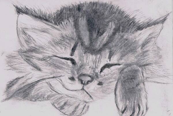 Cat Poster featuring the pastel Sleepy kitten by Luke Harrington