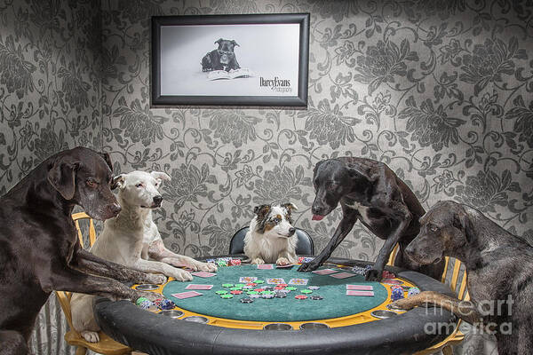 Poker Poster featuring the photograph Slight of Toungue by Darcy Evans