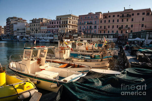 Anzio Poster featuring the photograph small working fishing boats moored stern first in Anzio harbour by Peter Noyce