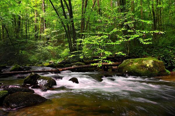 Great Smoky Mountain National Park Poster featuring the photograph Smoky Mountain Waters by Carol Montoya