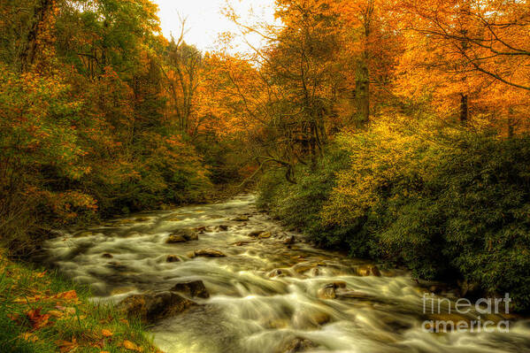 Nature Photography Poster featuring the photograph Smoky Mtn River in Autumn by George Kenhan