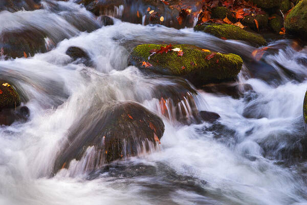 Stream Poster featuring the photograph Smoky Mtn stream - 429 by Paul W Faust - Impressions of Light