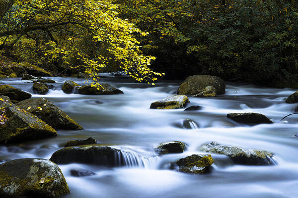 Great Smoky Mountains Poster featuring the photograph Smoky Stream by Chad Dutson