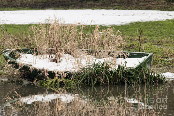 Boat Poster featuring the photograph Snow Boat by David Hollingworth