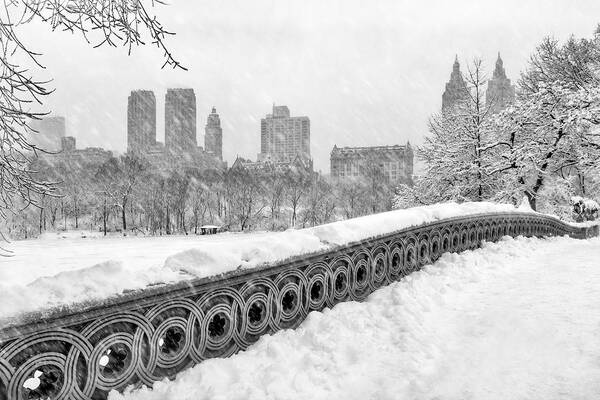 Central Park Poster featuring the photograph Snow In Central Park NYC by Susan Candelario