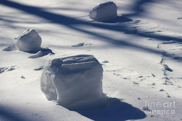 Winter Poster featuring the photograph Snow Roller Trio in Shadows by Karen Adams