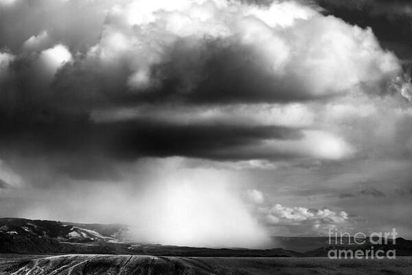 Landscape Poster featuring the photograph Snow Squall In Black And White by Edward R Wisell