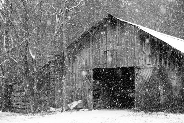 Black Poster featuring the photograph Snowy Barn by Robert Camp
