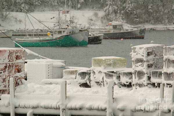 Snow Poster featuring the photograph Snowy Lobster Traps by Alana Ranney