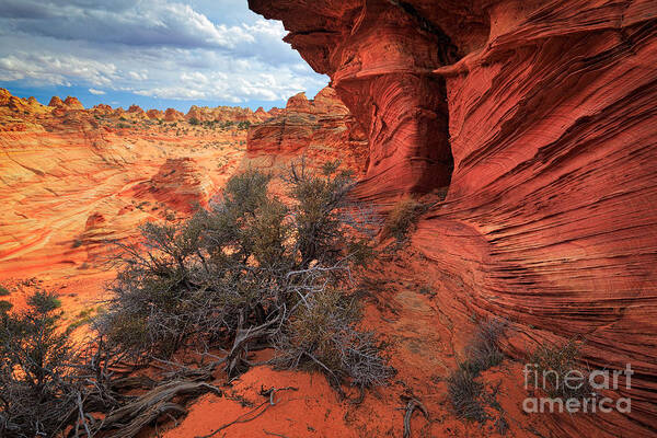 America Poster featuring the photograph South Coyote Buttes Grand View by Inge Johnsson