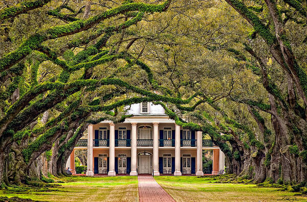 Oak Alley Plantation Poster featuring the photograph Southern Class by Steve Harrington