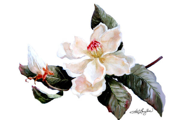 Southern Magnolia Poster featuring the painting Southern Magnolia by Maryann Boysen