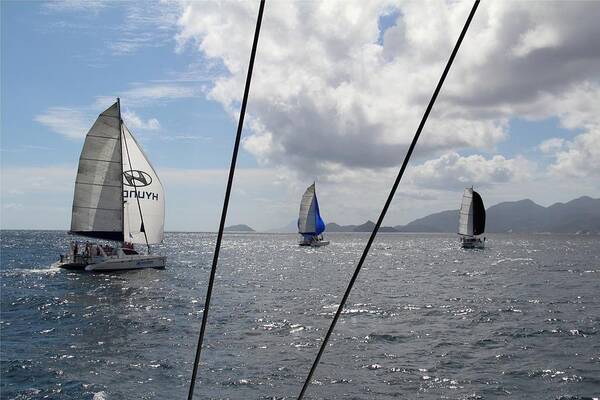 Sailing Poster featuring the photograph Spinnakers in the Seychelles by Debbie Cundy