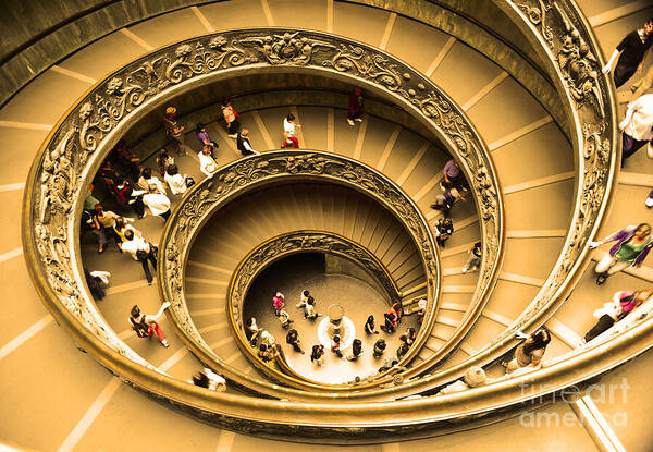 Vatican Museum Poster featuring the photograph Spiral Staircase by Stefano Senise