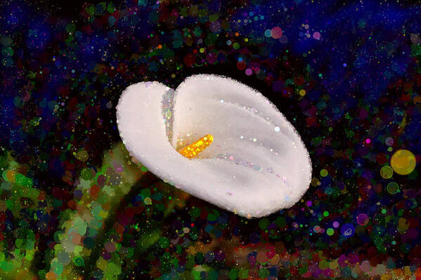 Calla Lily Poster featuring the painting Spring Bubbles of a Calla Lily by Angela Stanton