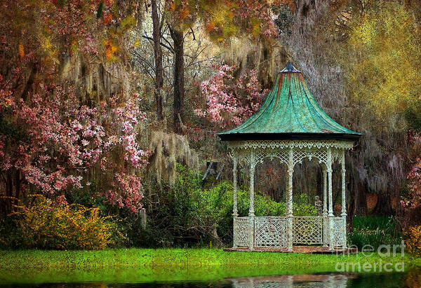 Textures Poster featuring the photograph Spring Magnolia Garden At Magnolia Plantation by Kathy Baccari