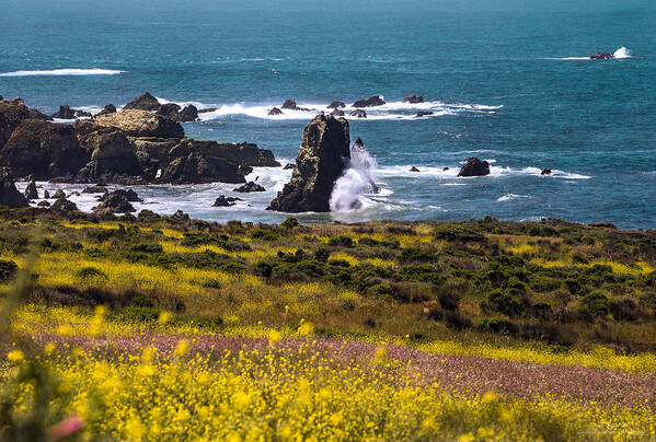 Art Poster featuring the photograph Spring on the California Coast By Denise Dube by Denise Dube