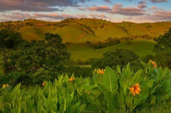 Landscape Poster featuring the photograph Spring Scene At Round Valley by Marc Crumpler
