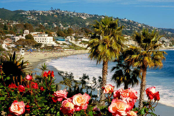 Laguna Beach Poster featuring the photograph Springtime in Laguna by Cliff Wassmann