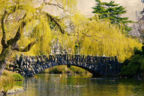 Stone Bridge Poster featuring the photograph Springtime in Victoria by Marilyn Wilson