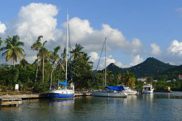  Poster featuring the photograph St. Lucia - Cruise - Boats at Dock by Nora Boghossian