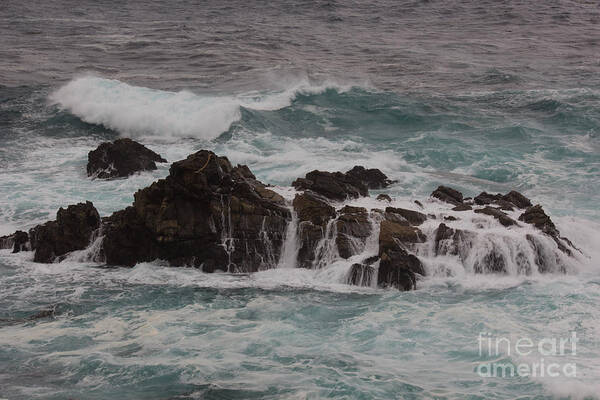 Big Sur Poster featuring the photograph Standing Up To the Waves by Suzanne Luft