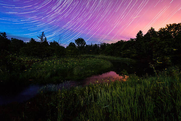 Matt Molloy Poster featuring the photograph Star Lines and Fireflies by Matt Molloy