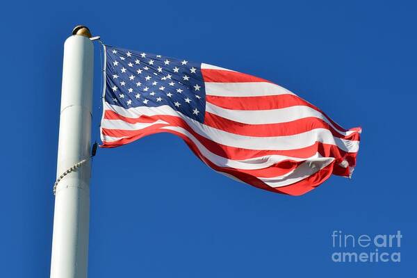Flag Poster featuring the photograph Stars Stripes and Blue Sky by Tammie Miller