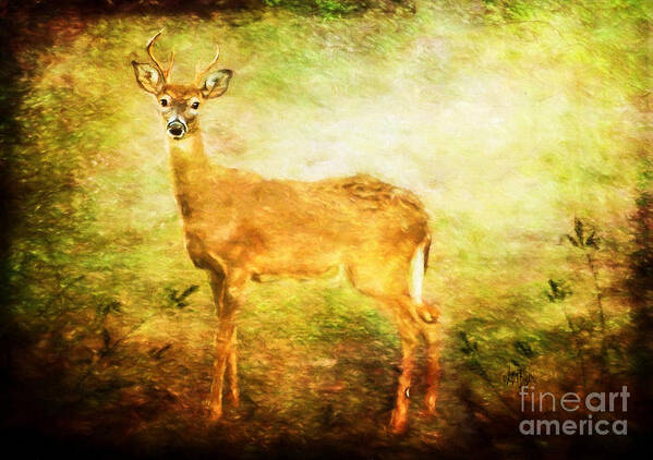 Deer Poster featuring the photograph Startled by Lois Bryan