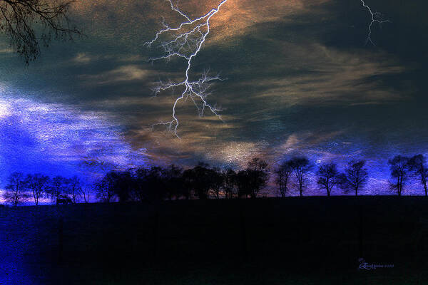 Trees Poster featuring the photograph Storm by Ericamaxine Price