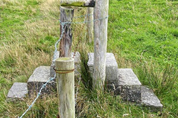 Stile Poster featuring the photograph Straddle the Fence by Norma Brock