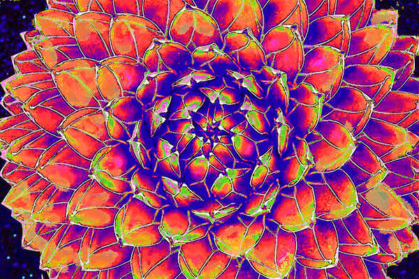 Succulent Poster featuring the digital art Succulent 7 by Jane Schnetlage