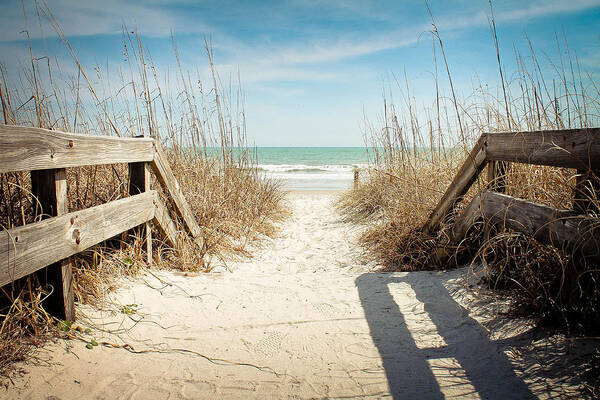 Blue Skies Poster featuring the photograph Summer Days by Jessica Brown