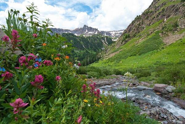 Landscape Poster featuring the photograph Summer in the San Juans by Cascade Colors