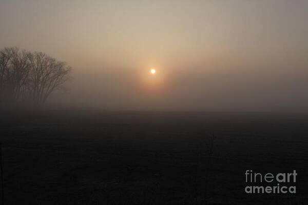 Fog Poster featuring the photograph Sun and Fog by Rick Rauzi